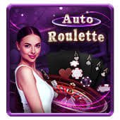 novibet bet br